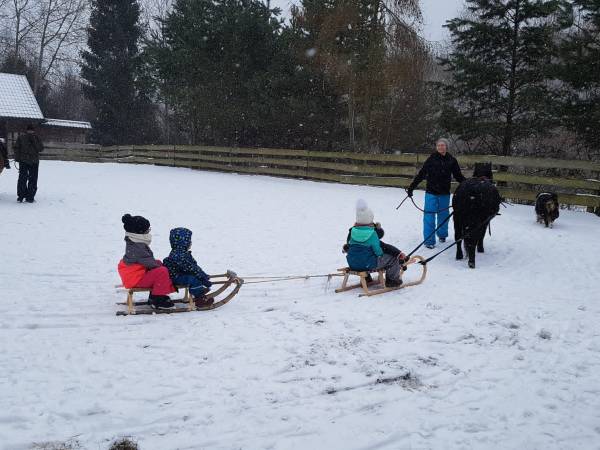 Agroturystyka-Zagroda Studzienno