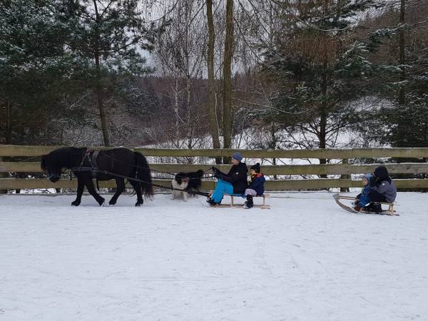 Agroturystyka-Zagroda Studzienno