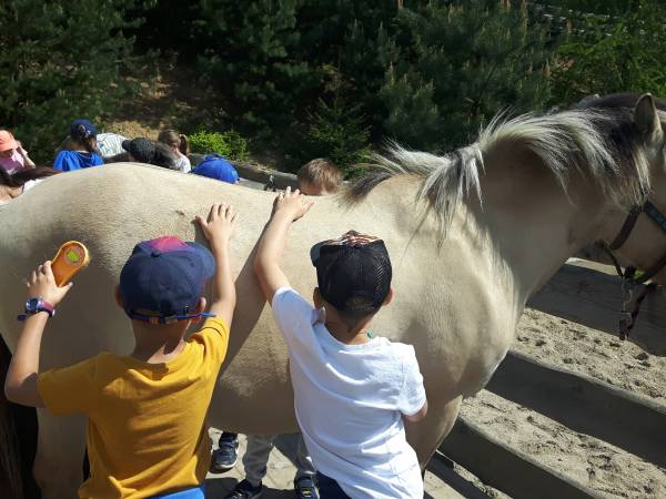 Agroturystyka-Zagroda Studzienno