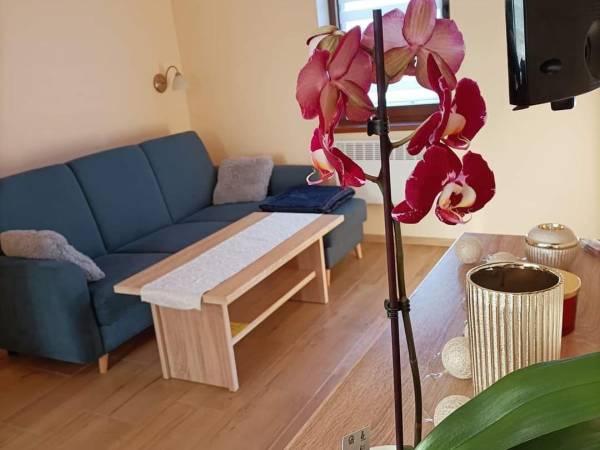 Domki całoroczne na Dębówce Góry Sowie