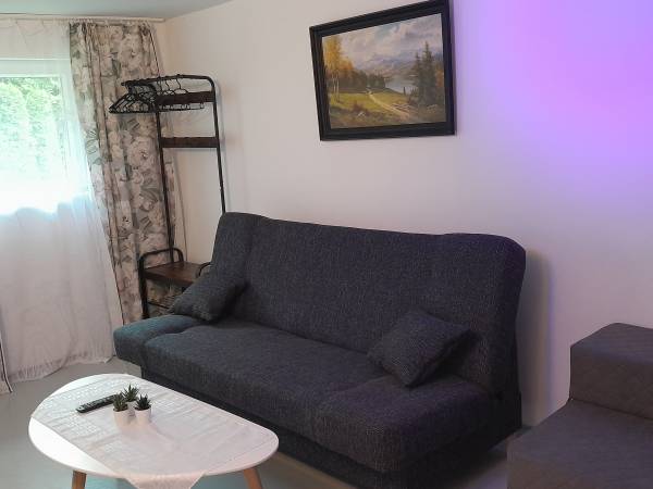 Willa Róża - 1 km od Energylandii