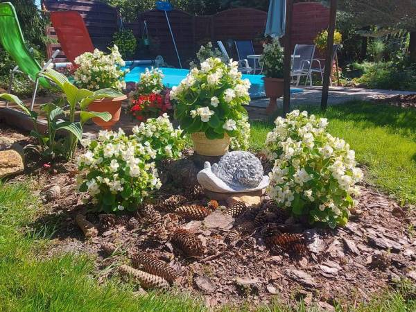 Dom Pod Lipami - Barbara i Leszek Kowalscy