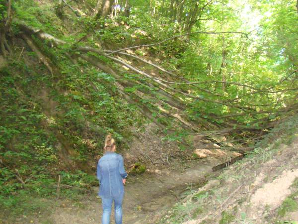 Dom Pod Lipami - Barbara i Leszek Kowalscy