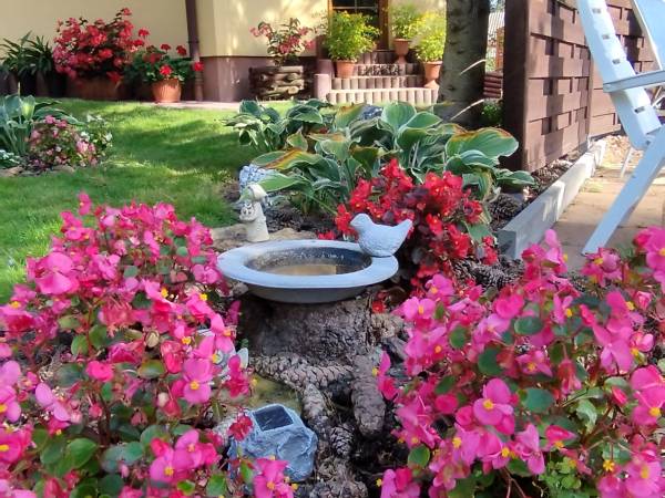 Dom Pod Lipami - Barbara i Leszek Kowalscy