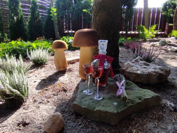 Dom Pod Lipami - Barbara i Leszek Kowalscy