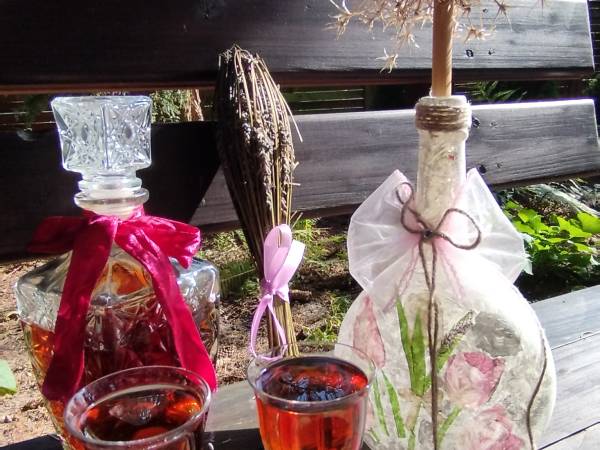 Dom Pod Lipami - Barbara i Leszek Kowalscy