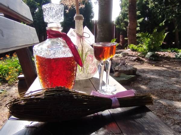 Dom Pod Lipami - Barbara i Leszek Kowalscy