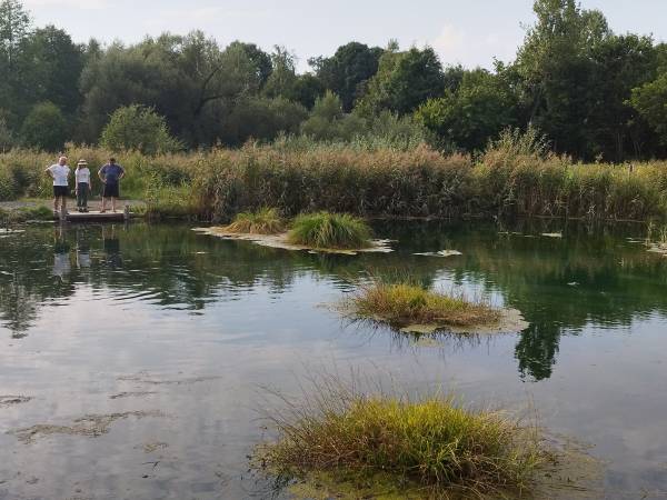 Dom Pod Lipami - Barbara i Leszek Kowalscy