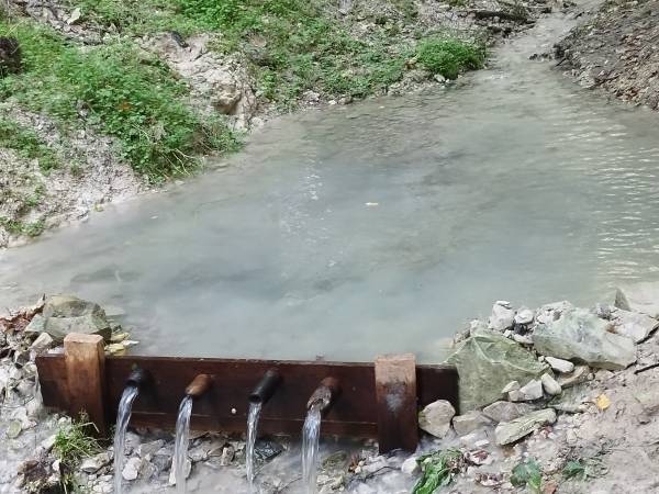 Dom Pod Lipami - Barbara i Leszek Kowalscy