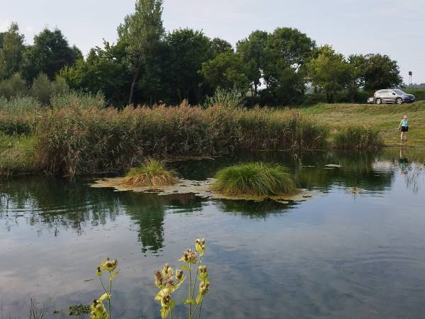 Siedlisko ,,Zenówka''