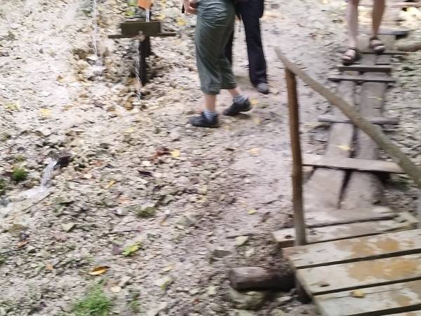 Siedlisko ,,Zenówka''