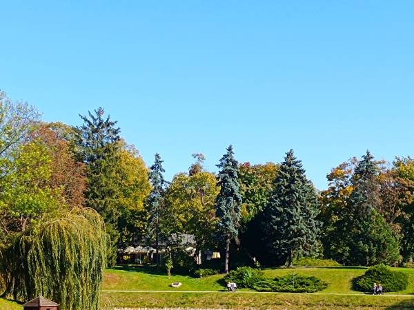 Park Miejski