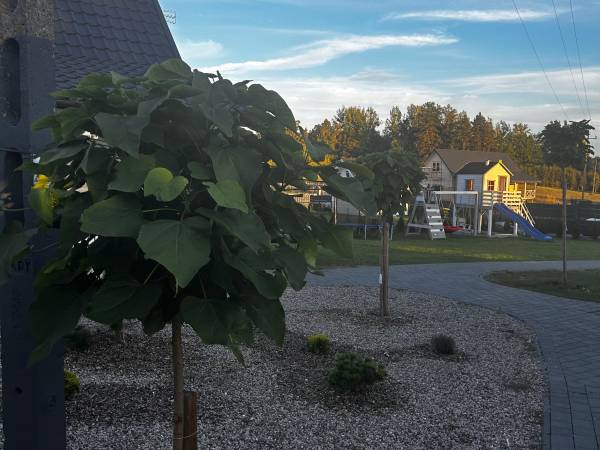 Domek Mazury Sauna Jacuzzi Gizycko Fuleda