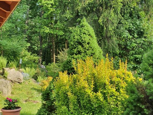 Domek Górski Promyk