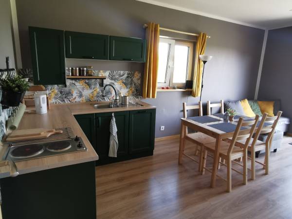 Salon z aneksem kuchennym I domku