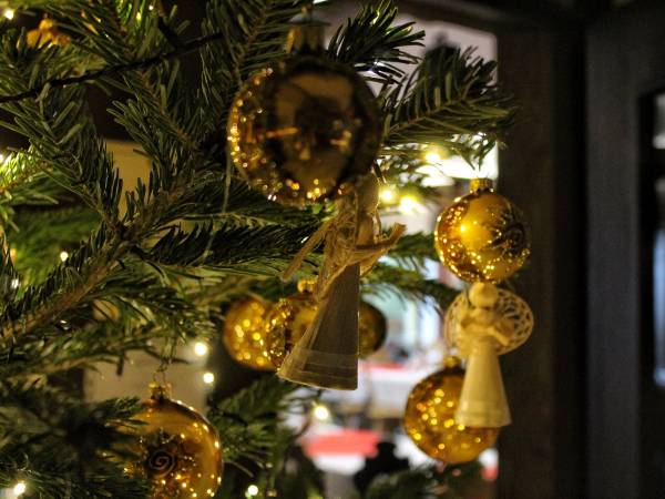 Willa Cztery Pory Roku