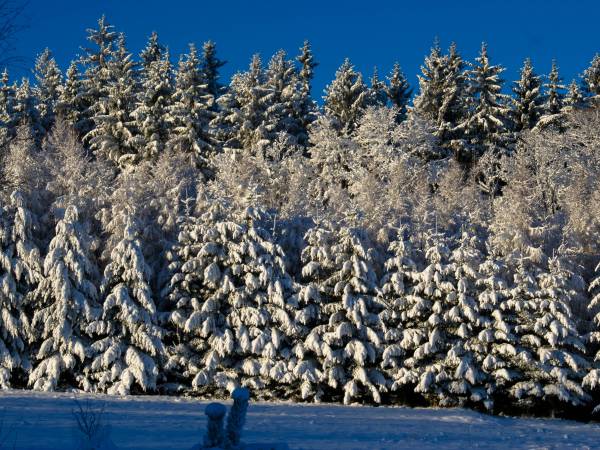  Dom 5 os. Karkonosze jacuzzi/sauna - Piaskowy Koń