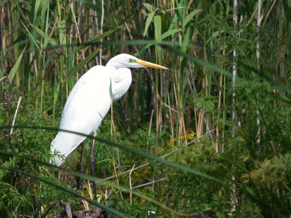 Ośrodek Wypoczynkowy Perła Krutyni 