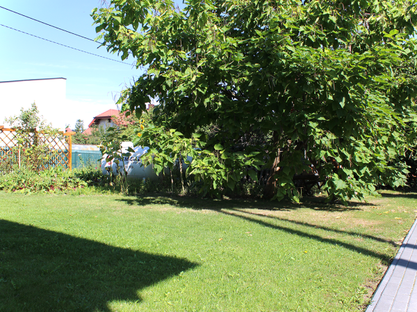 Noclegi Glinojeck Andrzej Bartczak