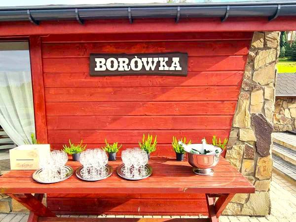 Domki Całoroczne Na Borach