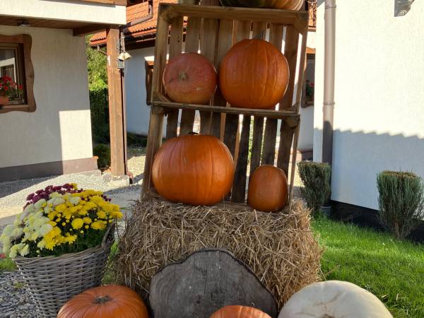 Domki całoroczne Mała Osada