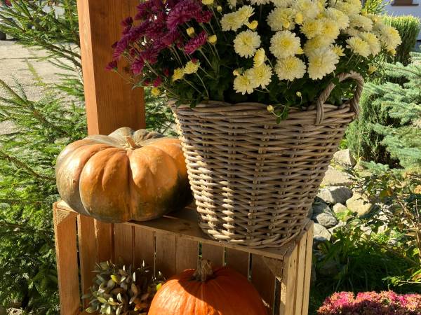 Domki całoroczne Mała Osada