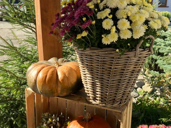 Domki całoroczne Mała Osada