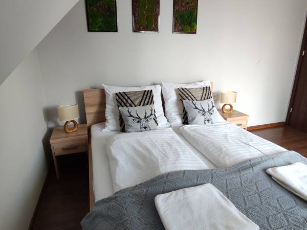 Apartament nr 7