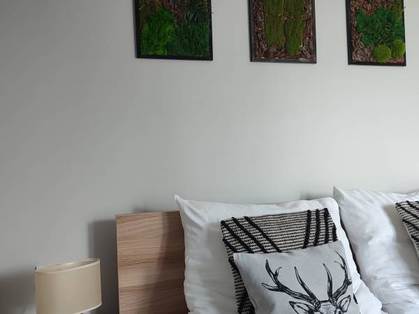 Apartament nr 7