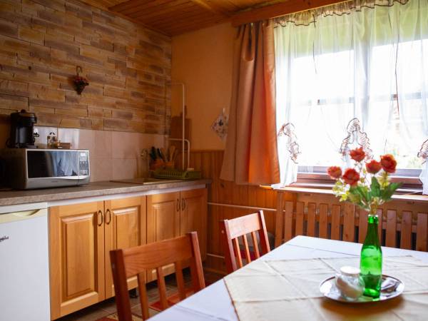 kuchynka v apartmane