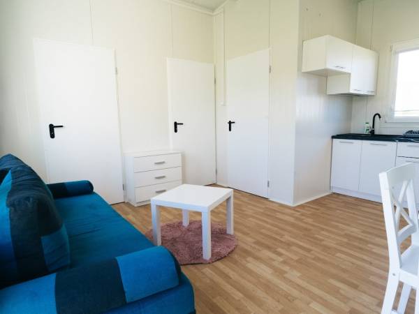 Salon z aneksem kuchennym w domku 4 -osobowym