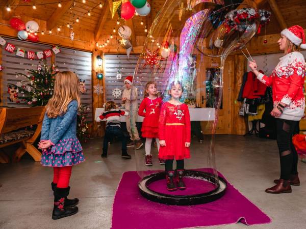 Agrodomki z bali Konradów