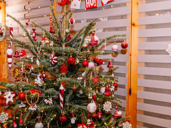 Agrodomki z bali Konradów