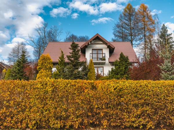 Widoczek z zewnątrz