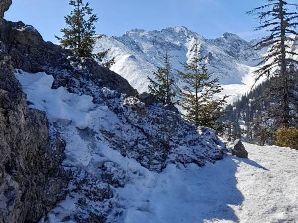 Dom na Rusińskim 11