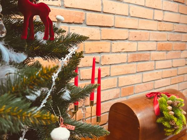 Skoczybruzda - Skòczibrózda Apartameńtë