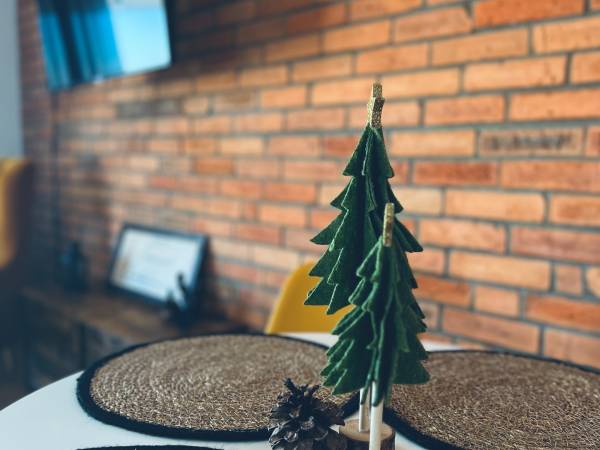 Skoczybruzda - Skòczibrózda Apartameńtë