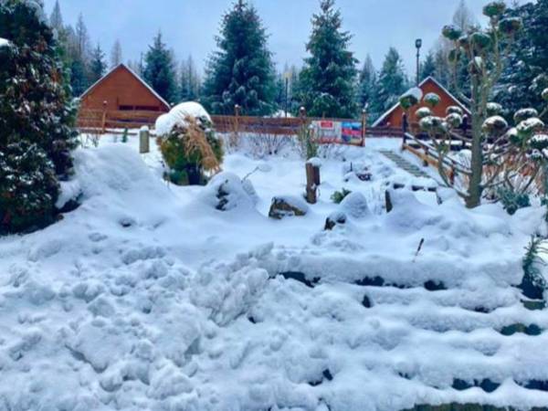 Modrzewiowe Wzgórze