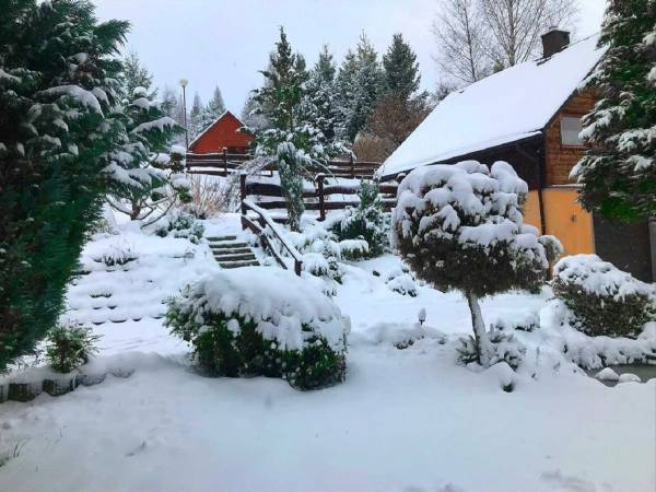 Modrzewiowe Wzgórze