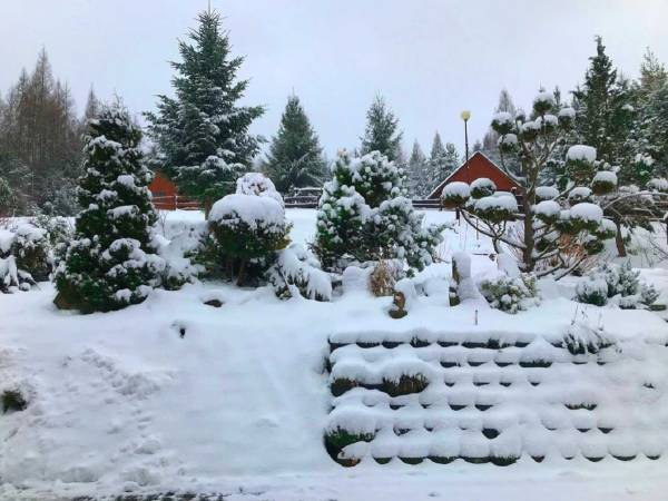 Modrzewiowe Wzgórze