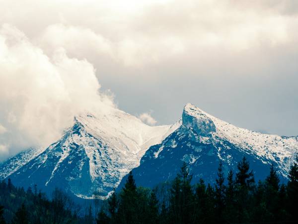 Willa pod górską lawendą