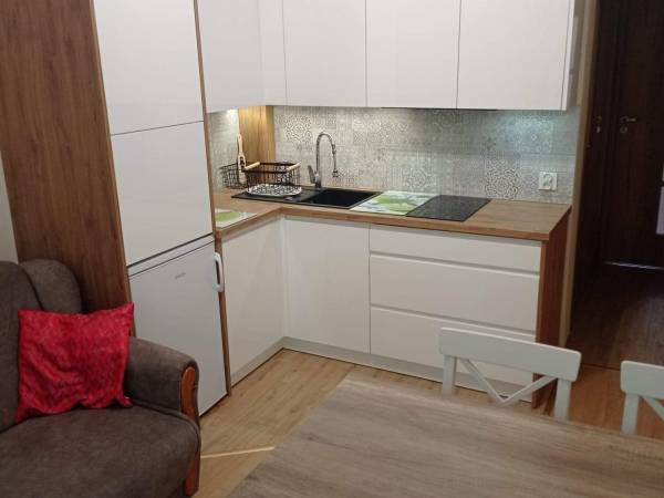 Apartament 2-pokojowy w Parku, Rabka Zdrój
