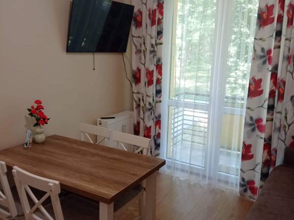 Apartament 2-pokojowy w Parku, Rabka Zdrój