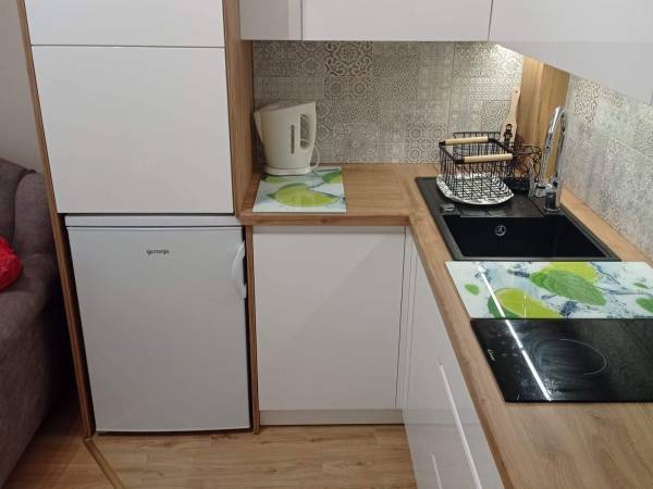 Apartament 2-pokojowy w Parku, Rabka Zdrój