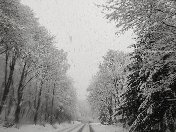 Domki Magiczne Miejsce 