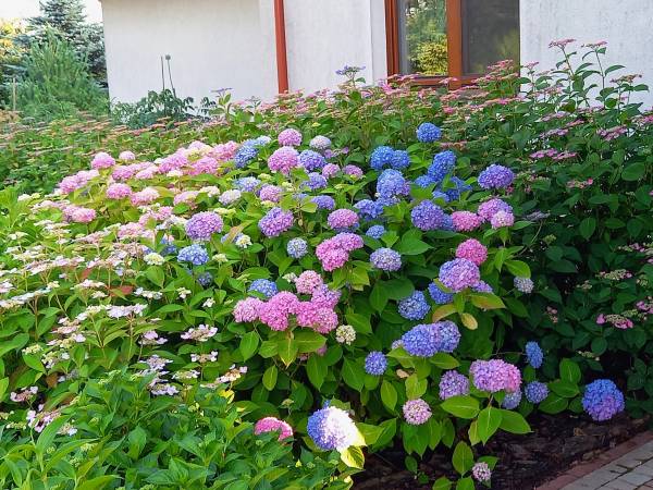 Szare Domki Okuninka Jezioro Białe