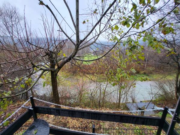 BLACK & WHITE HOUSES