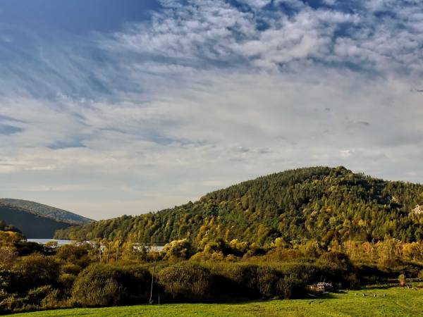 Apartamenty Pan Damazy