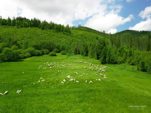 Anielskie Chaty