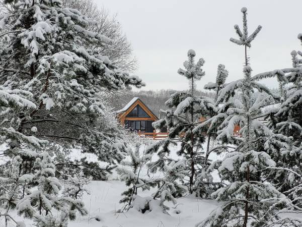 Miodowy Domek na Mazurach